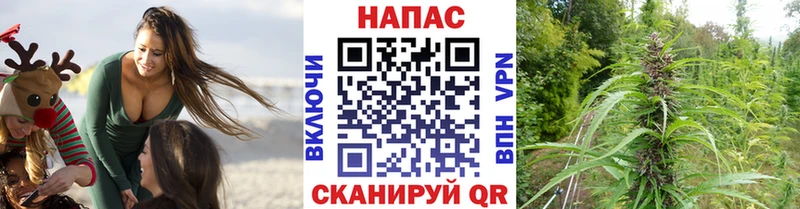 Каннабис тримм  мега   Ленск 